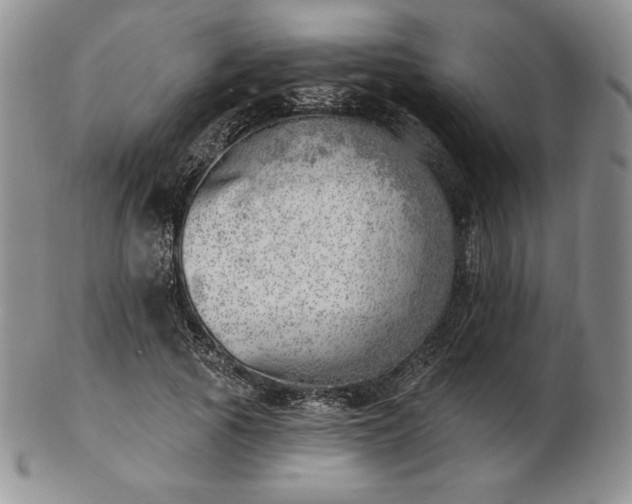 X0000102870737200808251241