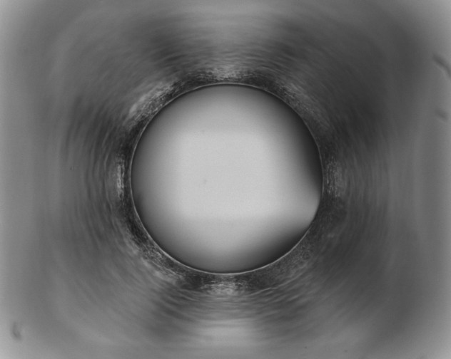 X0000102870740200808251241