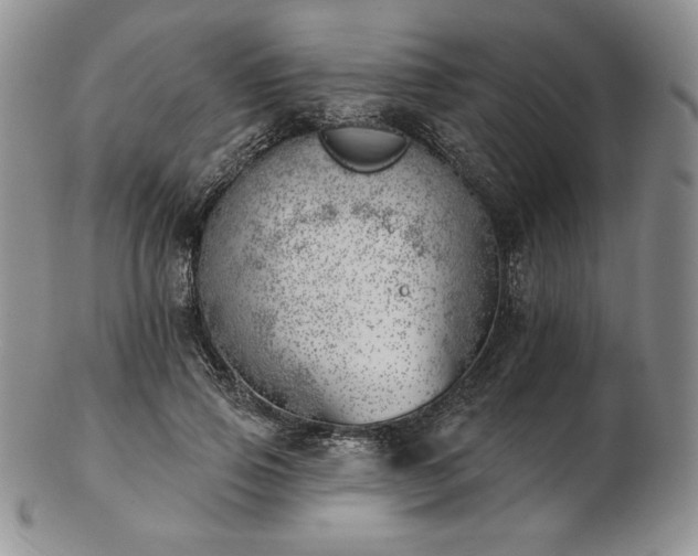 X0000102870741200808251241