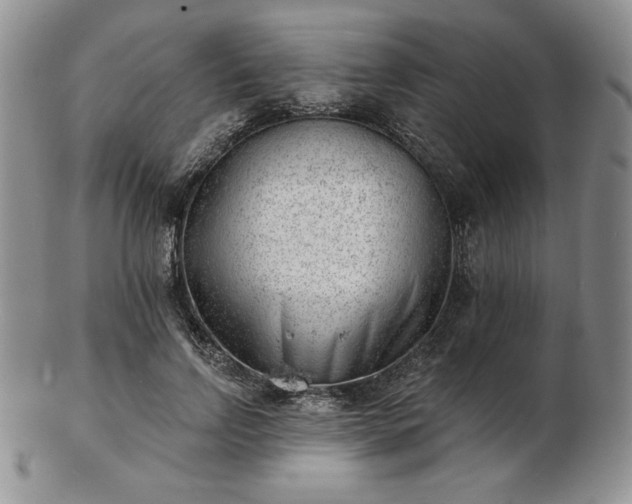 X0000102870742200808251241