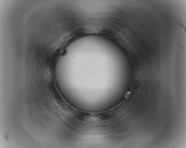 X0000102870743200808251241
