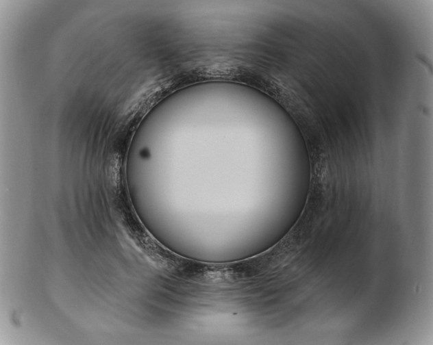 X0000102870744200808251241