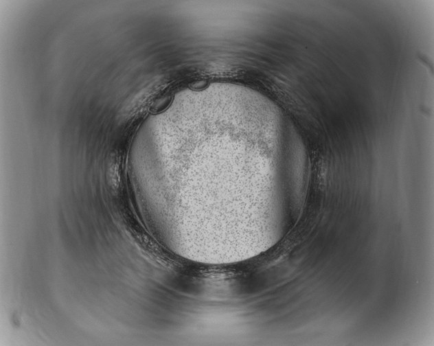 X0000102870746200808251241