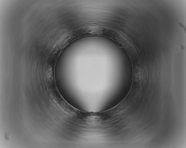 X0000102870748200808251241