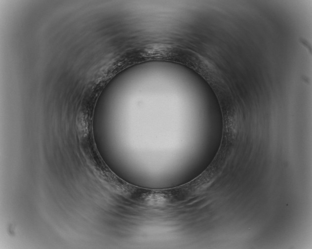 X0000102870751200808251241