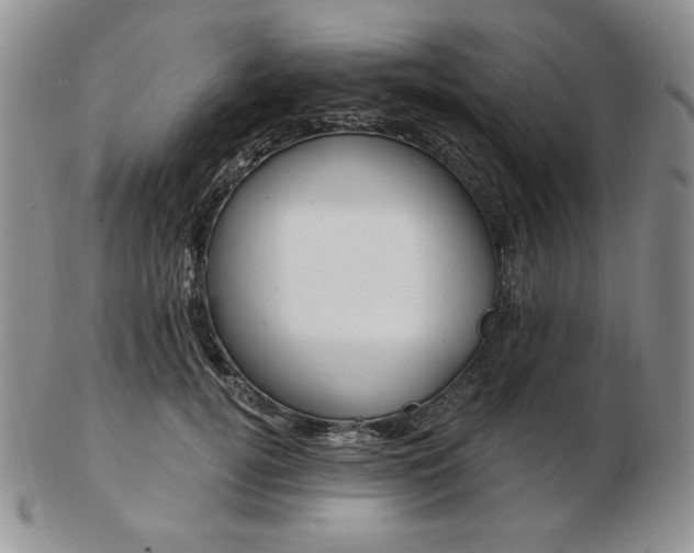 X0000102870752200808251241