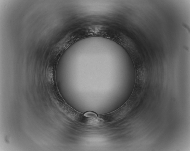X0000102870754200808251241