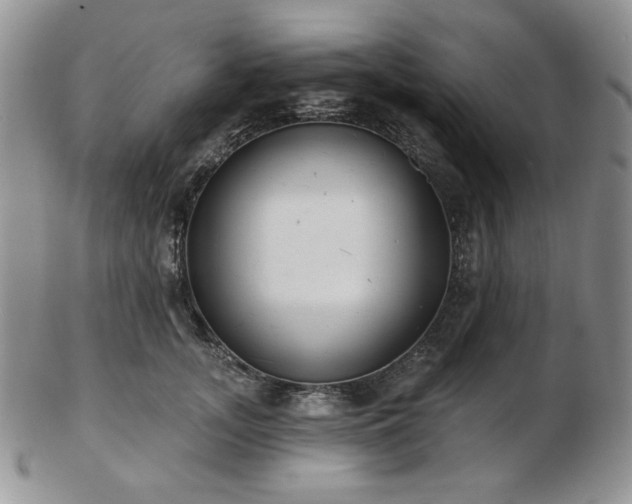 X0000102870755200808251241