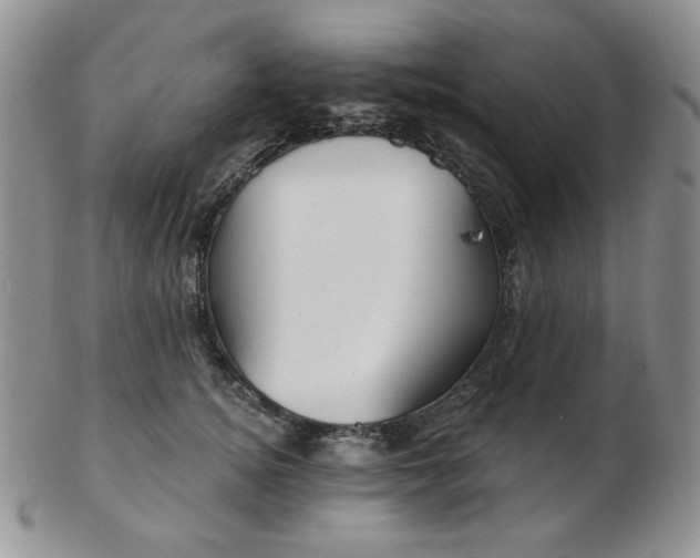 X0000102870756200808251241