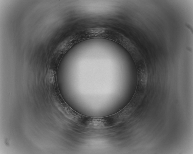 X0000102870758200808251241