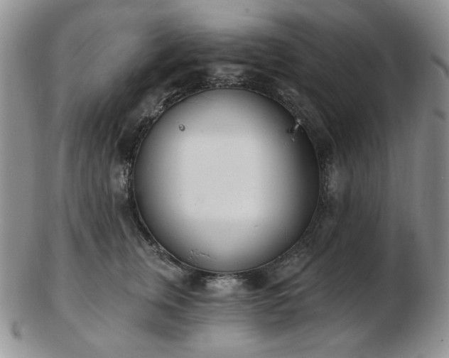 X0000102870759200808251241