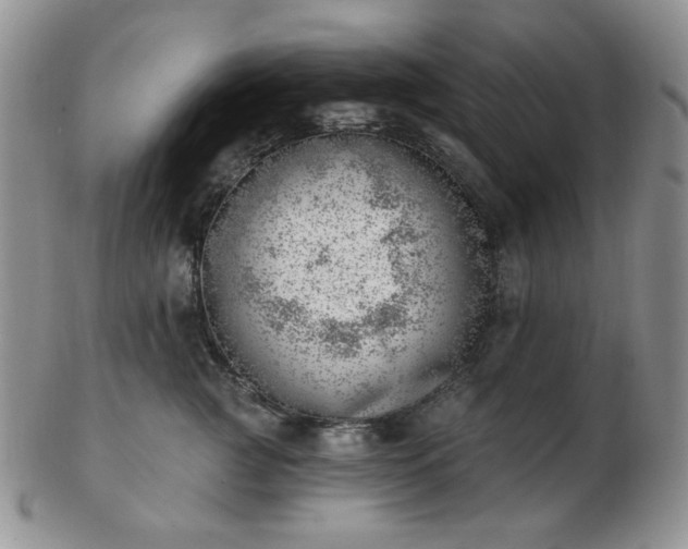 X0000102870761200808251241