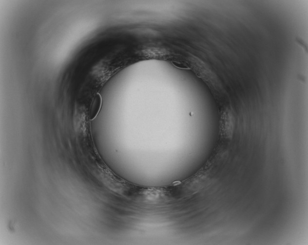 X0000102870762200808251241