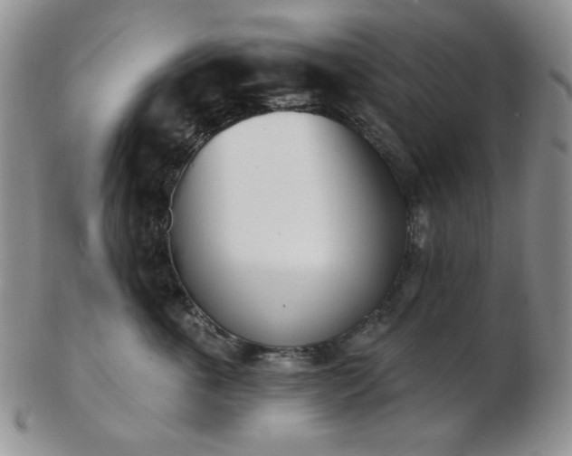 X0000102870763200808251241