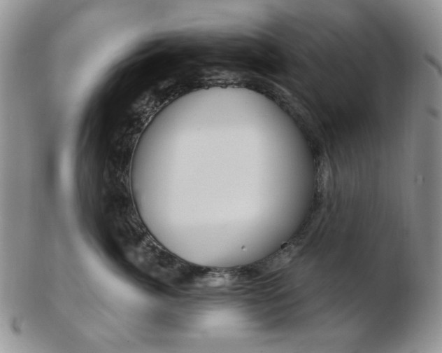 X0000102870764200808251241