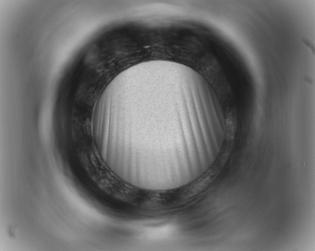 X0000102870765200808251241