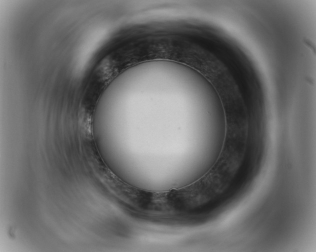 X0000102870766200808251241