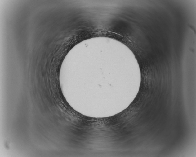 X0000102870769200808251240