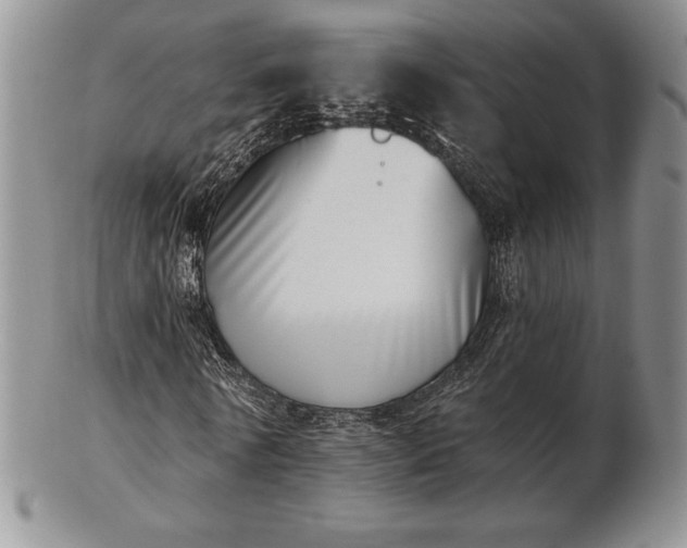 X0000102870770200808251240