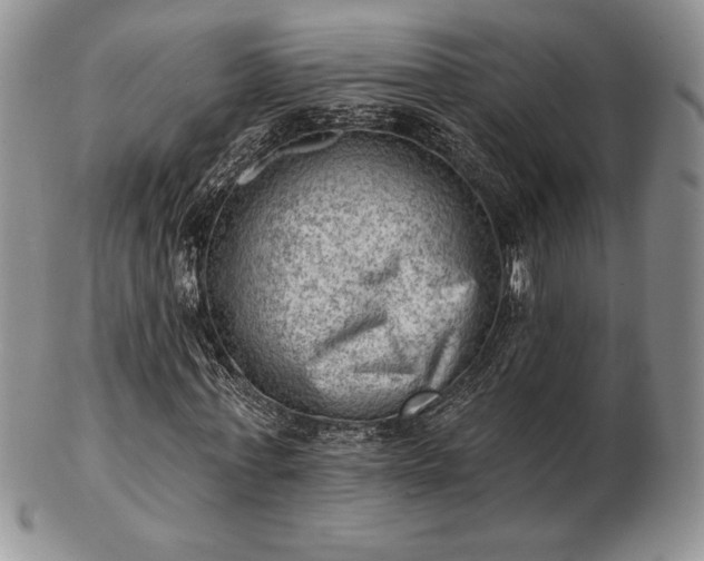 X0000102870771200808251240