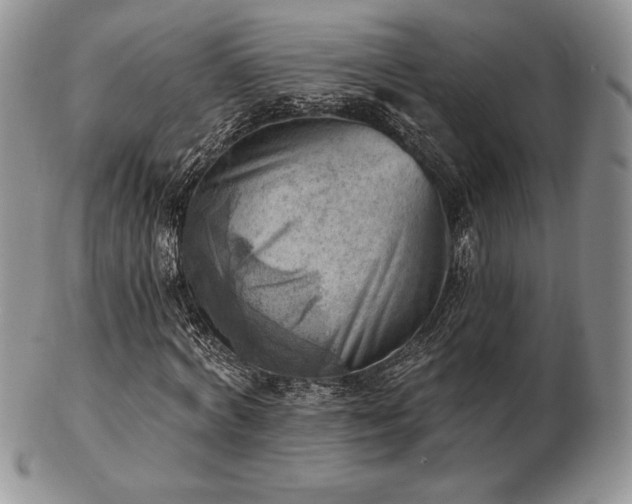 X0000102870772200808251240