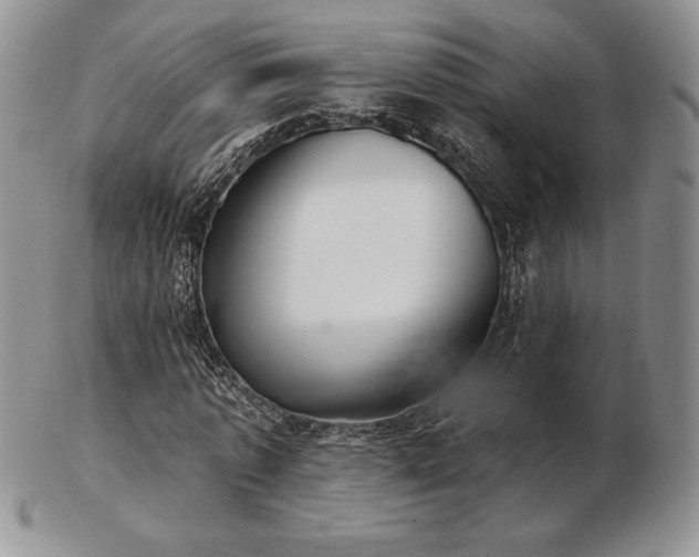 X0000102870773200808251240