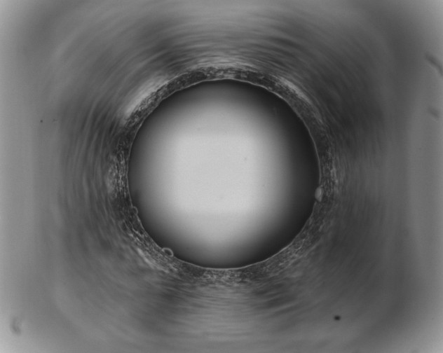 X0000102870775200808251240