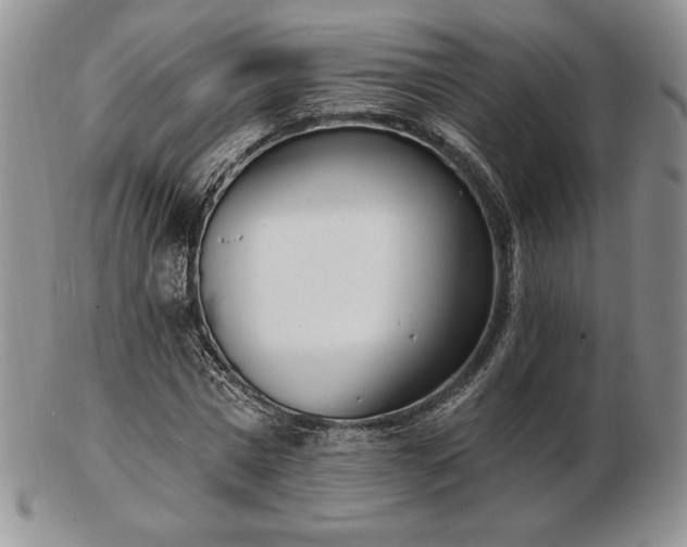 X0000102870777200808251240