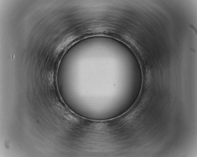 X0000102870778200808251240