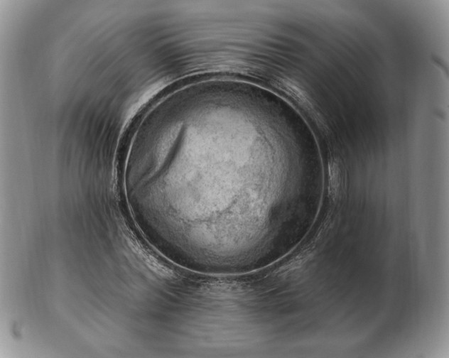 X0000102870780200808251240