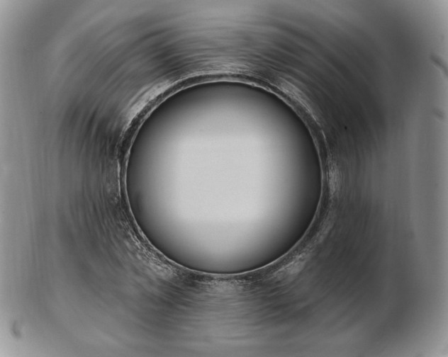 X0000102870781200808251240