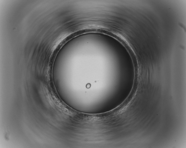 X0000102870783200808251240