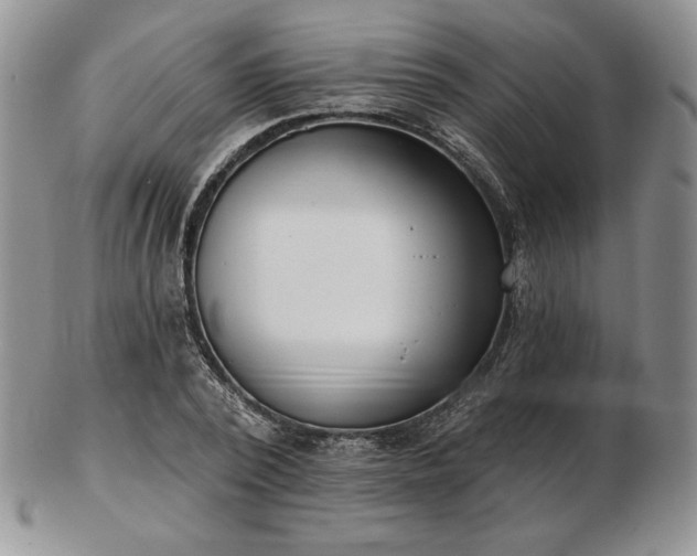 X0000102870784200808251240