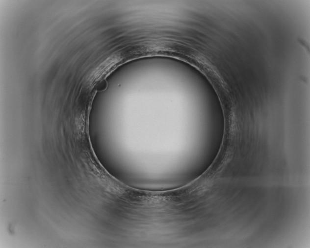 X0000102870785200808251240