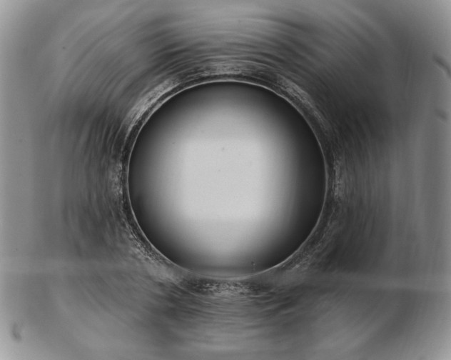 X0000102870786200808251240