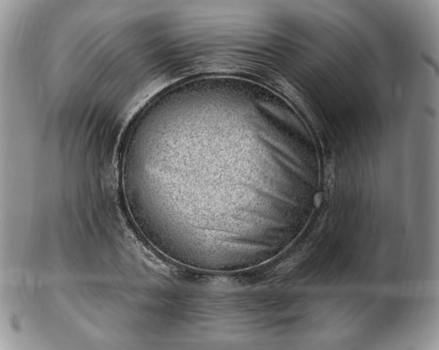 X0000102870787200808251240