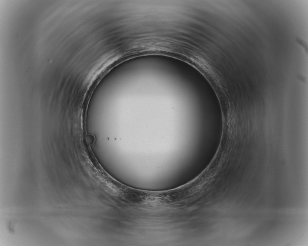 X0000102870790200808251240