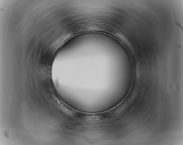 X0000102870793200808251240