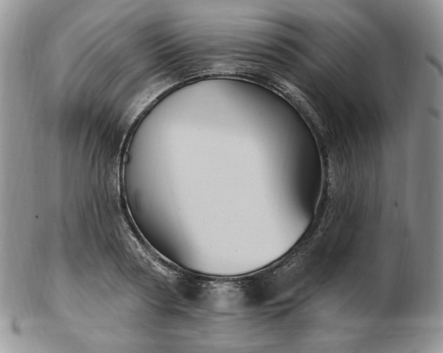 X0000102870794200808251240