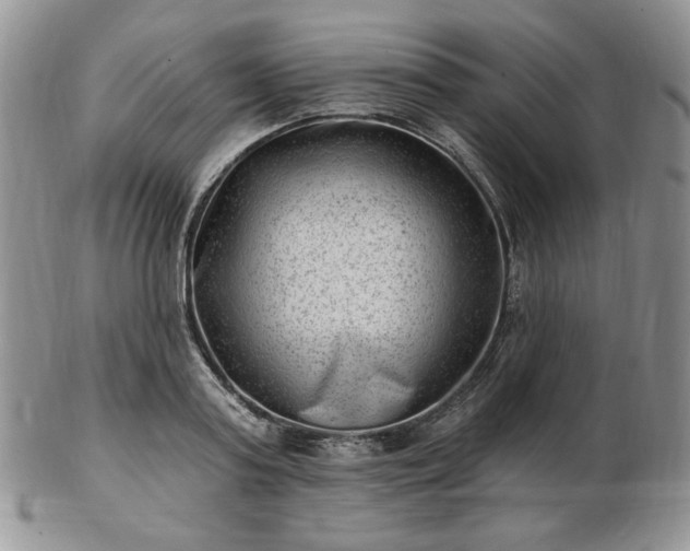 X0000102870795200808251240