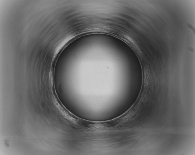 X0000102870796200808251240