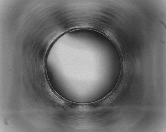 X0000102870797200808251240