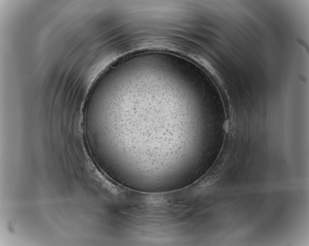 X0000102870799200808251240