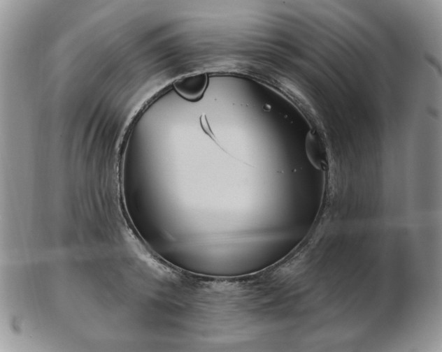 X0000102870800200808251240