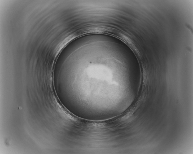 X0000102870802200808251240