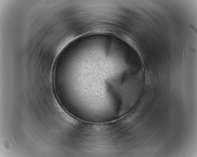 X0000102870803200808251240