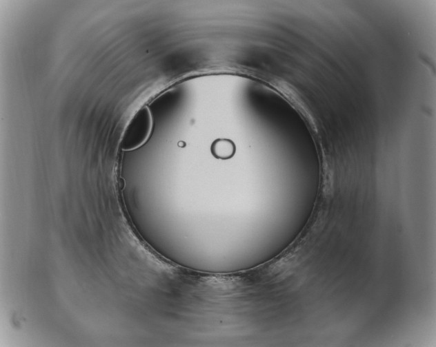 X0000102870805200808251240