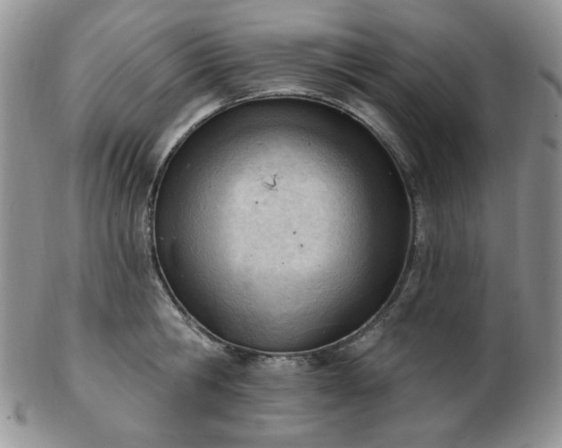 X0000102870806200808251240