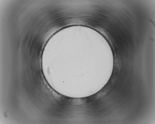 X0000102870807200808251240