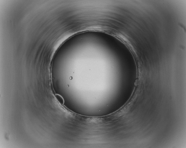 X0000102870808200808251240